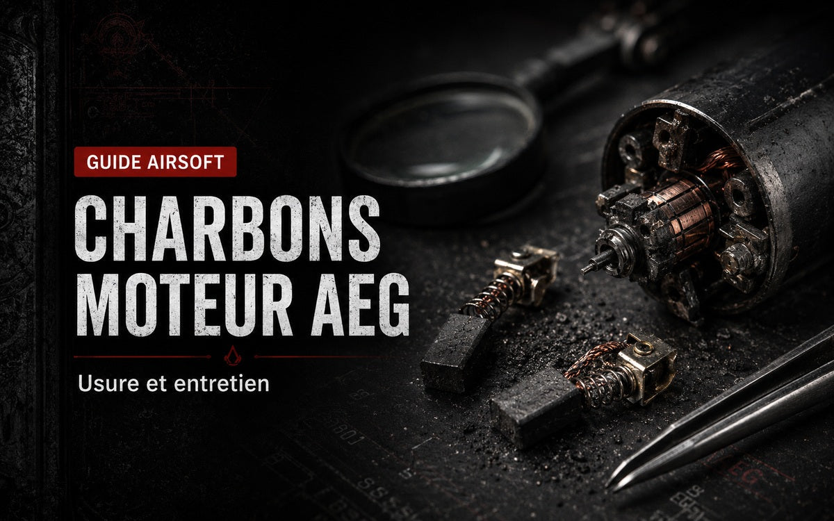 Charbons moteur AEG : usure et entretien