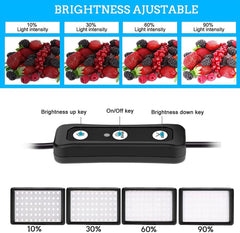 Kit d’éclairage LED USB avec trépied – Support téléphone en option