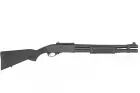 Fusil à pompe S872 Golden Eagle Spring – vue 4