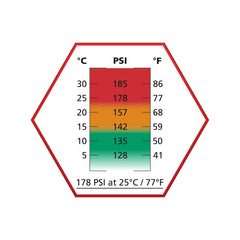Gaz Airsoft Ultrair rouge 178 PSI non siliconé – ASG