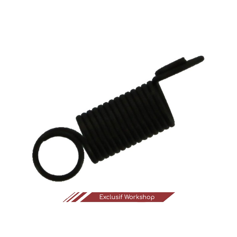 TAPPET SPRING pour Scorpion Evo 3 A1 (G22)