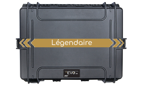 Mallette de transport pour CZ Scorpion EVO 3 - A1 / ASG
